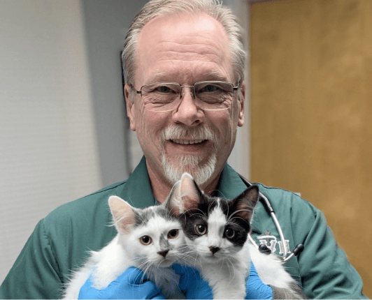 Doctor holding kittens